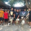 234 SC DPC Pemalang Gelar Kegiatan Qurban Idul adha 2026 Bersama Ketua Bpk. Yogo Darminto, S.H.