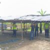 Gebrakan Polsek Comal: Arena Sabung Ayam di Tepi Kali Comal Desa Kandang Dibongkar dan Dibakar