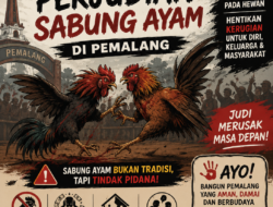 Diduga Marak, Praktik Judi Sabung Ayam Masih Berkeliaran di Sejumlah Titik di Kabupaten Pemalang