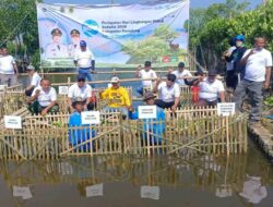 Peringati Hari Lingkungan Hidup Sedunia 2026, Pemkab Pemalang Tanam 3.000 Mangrove di Ulujami 
