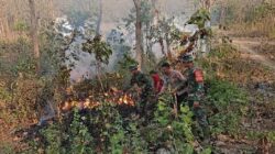 GERAK CEPAT KODIM 0711/PEMALANG ATASI KARHUTLA DI PETAK 30 RPH BKPH SOKAWATI