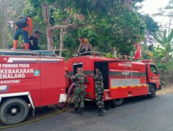 Sinergi Babinsa Dan Warga Bergerak Cepat Atasi Kebakaran Lahan Bambu di Mandiraja